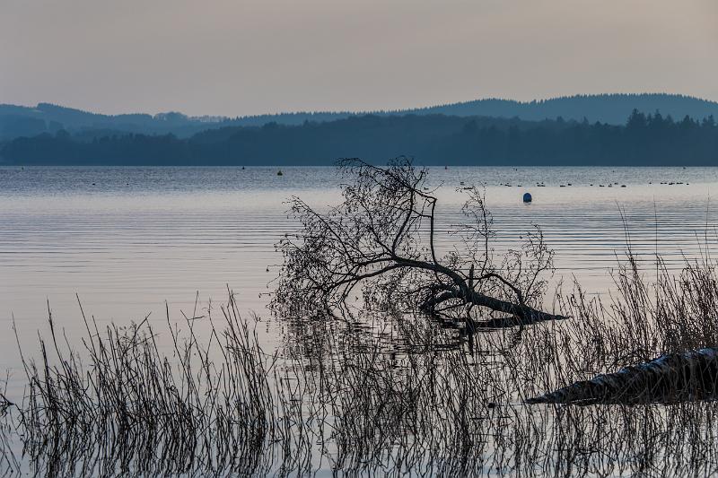 2018_02_24_Lac des Settons (0066).jpg - Lac des Settons (Février 2018)